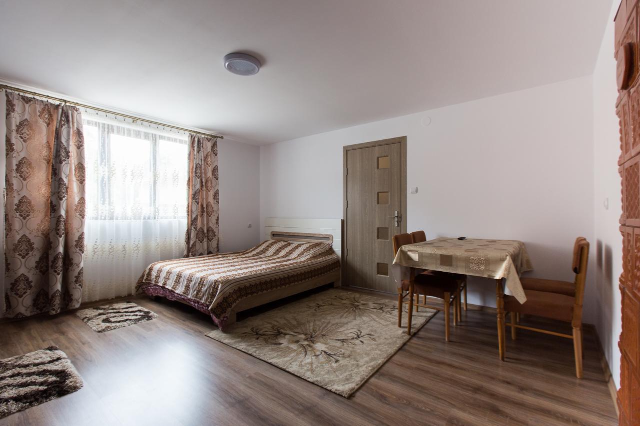 Casa Kis Villa Viseu de Sus Ngoại thất bức ảnh